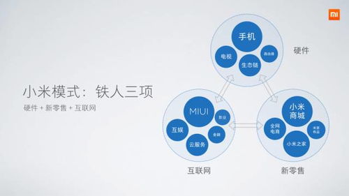 雷軍的痛苦與小米的逆轉(zhuǎn) 解碼互聯(lián)網(wǎng)銷(xiāo)售背后的關(guān)鍵邏輯
